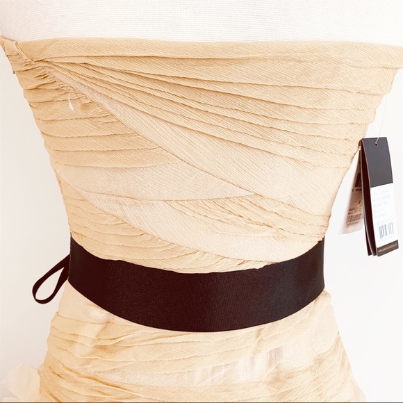 COPY - NEW Tadashi Shoji strapless ruffle chiffon gown - Picture 6 of 8